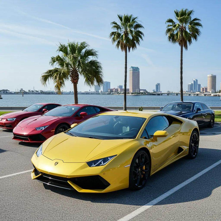 Luxury exotic cars in Tampa Bay showcasing high-performance vehicles against a scenic waterfront backdrop